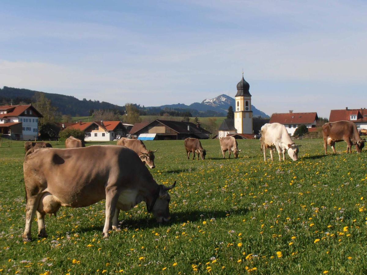 Fewo Herp Oy-Mittelberg Exterior foto